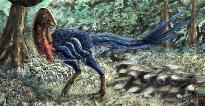 Discoveries And Insights About "Tha Rock'n Roosta"