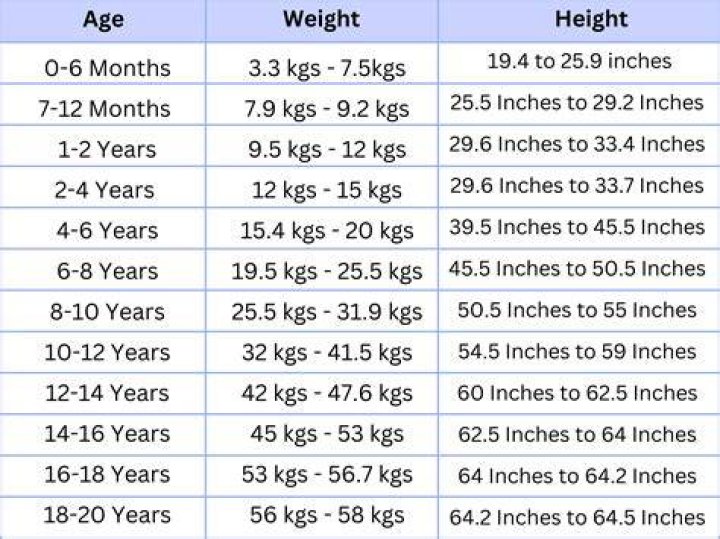 The Complete Guide to Biography, Height, Weight, and More