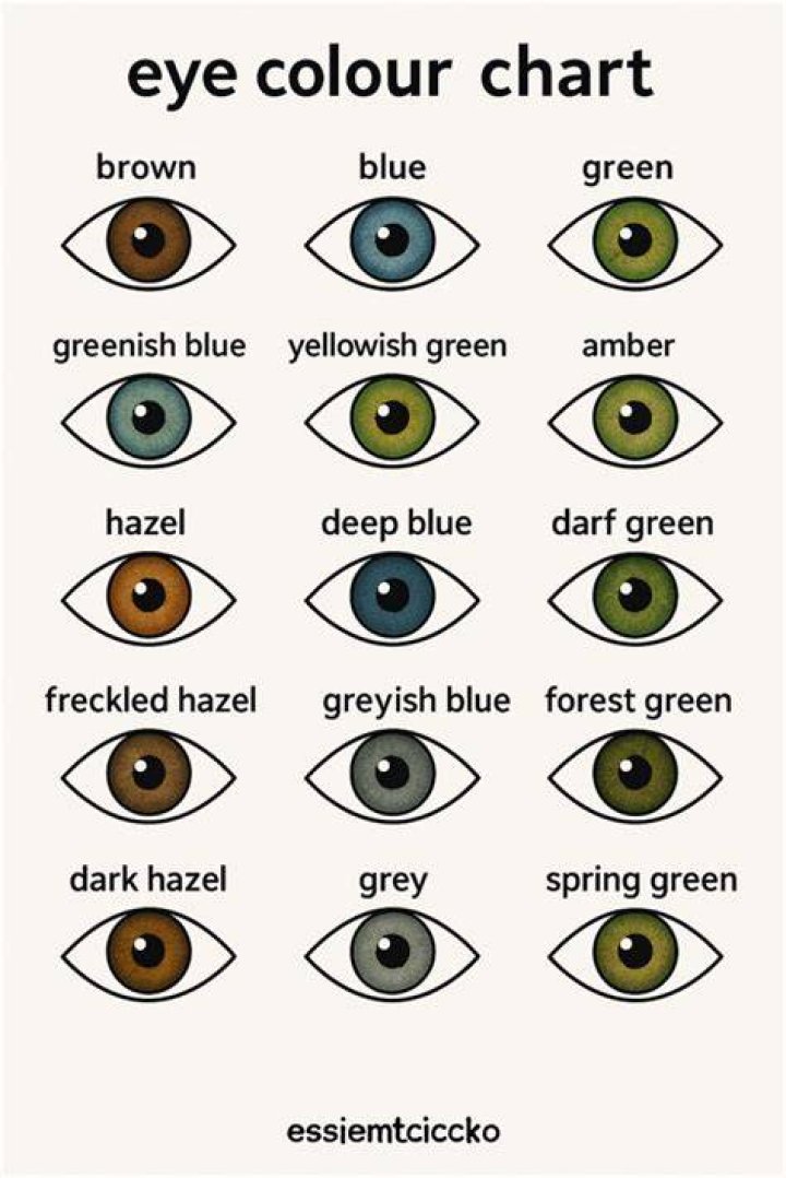 Unveiling The Enchanting Spectrum Of Irish Eye Color: A Guide To Its
